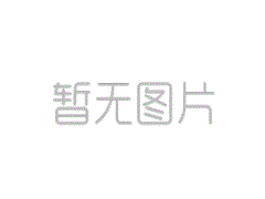武术游戏的集合十大可玩武术游戏排名